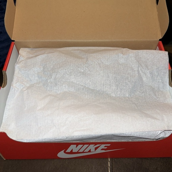 BRAND NEW Nike Dunk Low‎ Anthracite